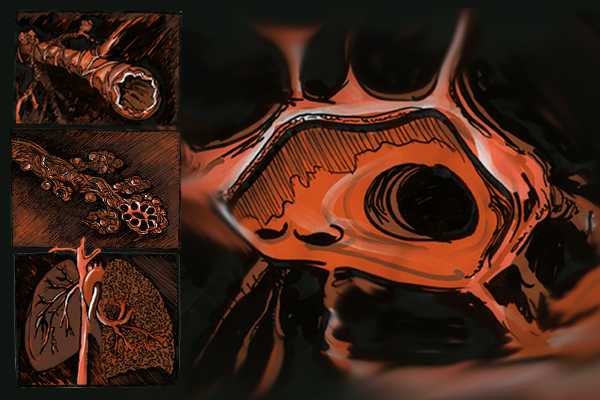 Blood Flow